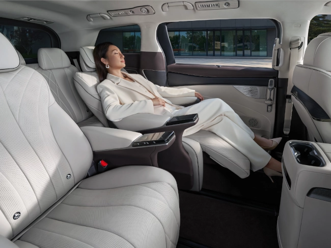 Opulent Captain Seats